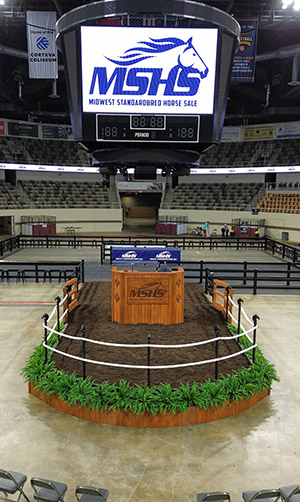 Midwest Standardbred Horse Sale